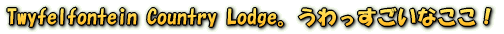 Twyfelfontein Country Lodge�B������������Ȃ����I