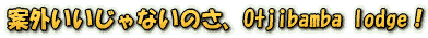 �ĊO��������Ȃ��̂��AOtjibamba lodge�I