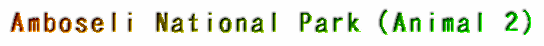 Amboseli National Park�iAnimal 2�j