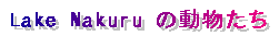 Lake Nakuru �̓�������